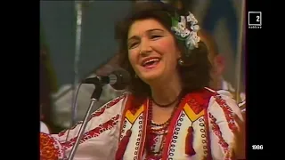 Zinaida Julea (1986) - Flori de pelinita, flori de busuioc