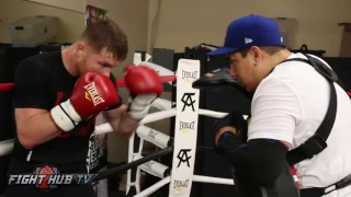 PURE POWER & SPEED! Canelo ripping the mitts looking to KO Chavez Jr!