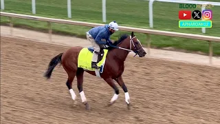 Mystik Dan's Friday Training in Lead-up to Potential Start in 2024 Preakness Stakes