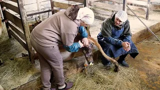 ПАРТНЁРСКИЕ РОДЫ. РОДИЛА БЫВШЕМУ ПРЯМО В РУКИ