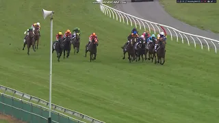 2021 New Zealand 1000 Guineas