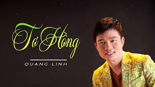 Tơ Hồng - Quang Linh