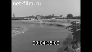 1961г. село Логиновка колхоз имени Щорса Краснокутский район Саратовская обл