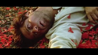 Devdas Movie End Scene | Very Emotional | Shahrukh Khan and Aishwariya Rai