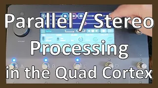 Parallel and Stereo Processing on the Quad Cortex