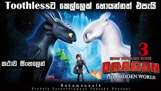 How to train your Dragon 3 sinhala review | ending explained in sinhala | Sinhala movie review | BK