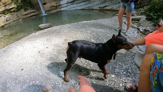 Поход к водопадам реки Коаго(Широкопшадские водопады)