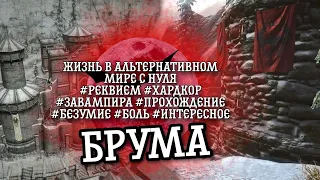 Путешествие в Бруму /The Elder Scrolls V: Skyrim - Requiem