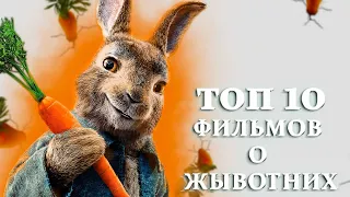 Топ 10 фильмов о животных. Фильмы которые покорят ваши сердца. Твои топ 10 фильмов. Стоит посмотреть