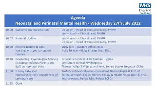 Webinar 33: Perinatal Mental Health PNMH Services; Neonatal and PNMH