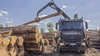 Eine Königsdisziplin für LKW-Fahrer: Riesige Baumstämme werden auf engen Waldwege transportiert