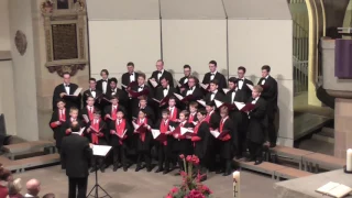 "The Shepherd's Carol" Bob Chilcott | The Choir of St John's College, Cambridge (2016)