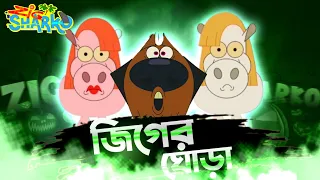 জিগের ঘোড়া | Zig and Sharko | Zig and Shark | Zig and Sharko Bangla Funny Dubbing | Tisan Bhai
