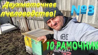 Двухматочное пчеловодство! 10 рамочный дадан!