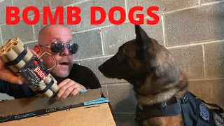 Bomb Dog Usage and Training