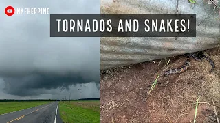 Snakes and Tornadoes! Herping Oklahoma