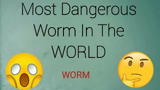 Dangerous worm in the World - Caught by Camera  - Amazing Capture