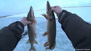 Щука на балансиры и блесна в речке переплюйке. Весна пришла.