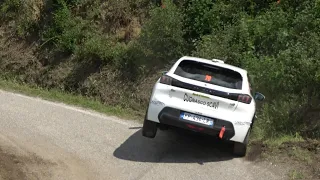 Rally Il Grappolo 2024/ CRASH AND MISTAKES