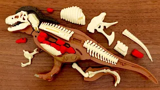 ティラノサウルス解体パズル。手が滑り恐竜を絶滅させてしまう。Tyrannosaurus rex demolition puzzle. toy. Dinosaur chocolate