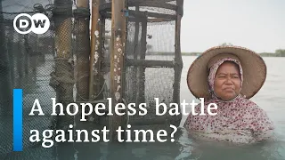 Indonesia’s sinking villages: a hopeless battle against rising sea levels | DW News