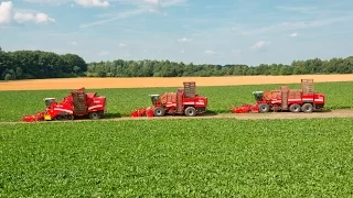 GRIMME | Best of beet technology 2012