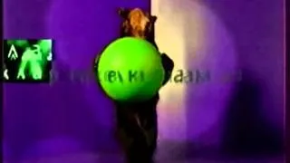 Рекламная заставка (НТВ, 1997-1998) Медведь
