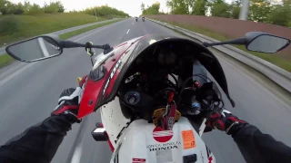 CBR 600RR Wheelie