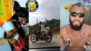 Se Rir Já Era! Os Videos Mais Engraçados do Whatsapp 2021 #34 - Tente Não Rir Memes