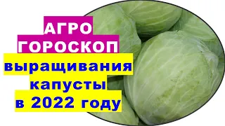 Agrohoroscope for growing cabbage in 2022