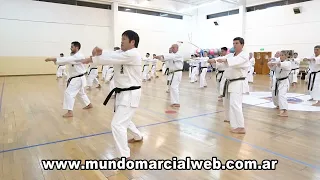 Karate-Do: Seminario S.K.I.F. en Uruguay