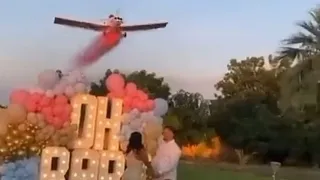 Shocking moment gender reveal plane crashes and kills pilot in front of guests