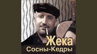 Сереге шили дело