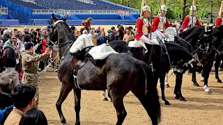 SHOCKING: Incident at Horse Guards Parade