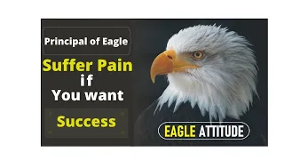 Mentality of the Eagle - [POWER of EAGLE WISDOM] - Best Motivational Video