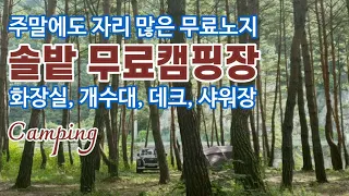 화장실 개수대 샤워실 데크까지 모두 공짜!/무료 노지 차박 캠핑/캠핑카 카라반 차박 텐트 모두 가능/솔 숲무료캠핑장/캠핑음식/Camping in nature/自然の中でキャンプ