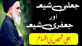 Jafri Shia or Ghali - جعفری شیعہ اور غالی - Syed Jawad Naqvi - Shia Shorts