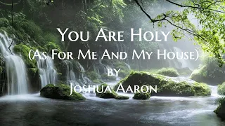 You Are Holy lyric video by Joshua Aaron