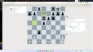 шахматы lichess.org. chess.com.