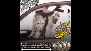 مسح شرف الرعد من دير الزور من قبل ابن الشهباء النسخه الاصليه
