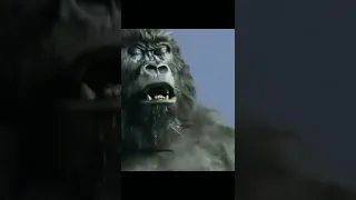 I can feel this gorilla in the air tonight