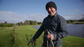 How To Stake Up Trees That Have A Lean