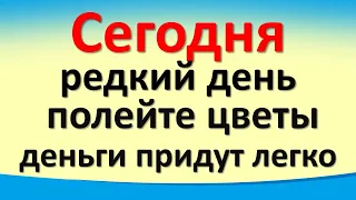 Сегодня 23 июля редкий день, полейте цветы, деньги придут легко. Важный совет от Архангела Михаила