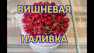 Вишнёвая наливка