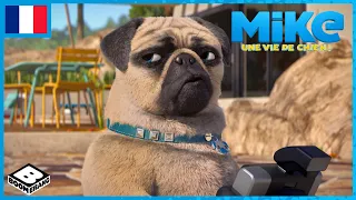 Mike, une vie de chien 🇫🇷 | Mike et les paparasites