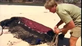 Crocodile Hunter - Super Croc ! (Part 1/5)