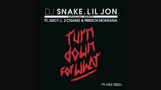 DJ Snake & Lil Jon Turn Down For What Remix Ft Juicy J, 2 Chainz & French Montana Clean