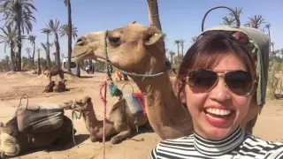 Making MEGA in Morocco