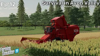 Vistula Harvester | SURVIVAL IN AVON VALLEY - Ep12 -FS22 Survival Timelapse Series starting with $0.