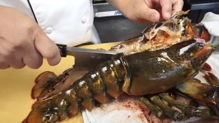 Lobster's Claws Strength After Being Banded for 2-3 Weeks - (GRAPHIC)